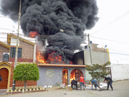 llamas inmensas casurinas